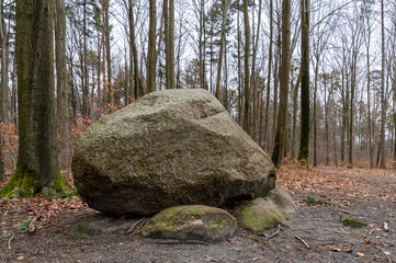 Canvas Print - Closeup shot of a big boulder in a forest