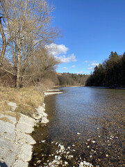 Sticker - Vertical shot of the river with the dense trees on the shore.