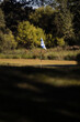 © Jlundy/Wirestock - Vertical shot of a golf flagstick in a green field with trees in the background