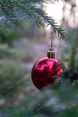 Sticker - Vertical shot of a red Christmas ball hanging on pine tree branch