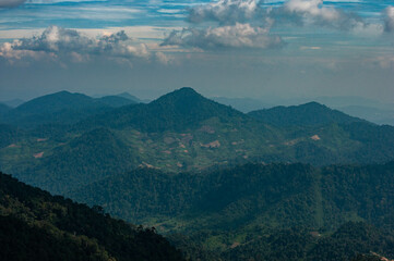 Wall Mural - Beautiful view of green grand trees with mountains against a gray dramatic sky