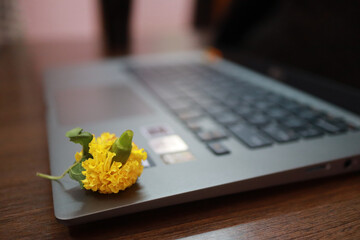 Wall Mural - Closeup shot of a yellow flower on a computer