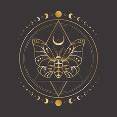 Wall Mural - Vector mystic celestial sketch tattoo with golden outline insect, crescent and moon phases. Occult linear illustration with a magical butterfly. Sacred geometric background with a moth