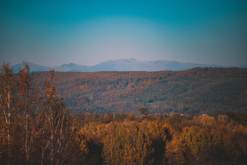 Wall Mural - Mountainous countryside area with autumnal trees on a sunny day