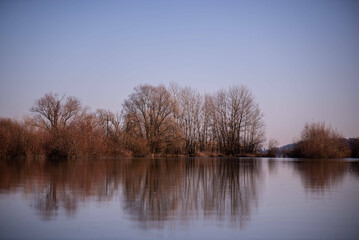 Wall Mural - Beautiful scenery of calm lake with trees under blue sky