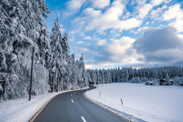 Canvas Print - Winter landscape with a smooth road passing by snow-covered fir trees in the Bavarian forest