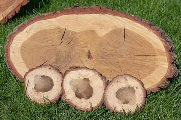 Poster - Saw-cut pieces of wood on the grass