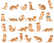 Otter icons set cartoon vector. European animal. Aquatic tail