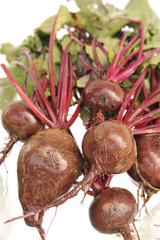 Wall Mural - Close-up shot of a freshly picked beets from the garden