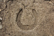 Footprint of a horse on a mud