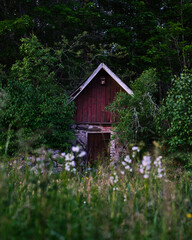 Canvas Print - Vertical shot of a barn in the woods