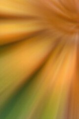 Poster - Closeup shot of abstract background in yellow, orange, and green