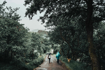 Sticker - Beautiful shot of a landscape taken on a foggy day in Scotland