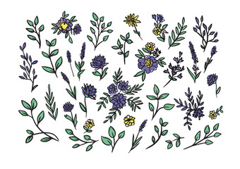 Sticker - Vector hand drawn big collection with wild and medicinal herbs. Hand drawn botanical sketch with plants and flowers in color.For printing, cards, packaging.Different  flowers on white background.