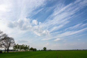 Wall Mural - beautiful shot of the landscape with the rain clouds and trees