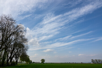 Wall Mural - beautiful shot of the landscape with the rain clouds and trees