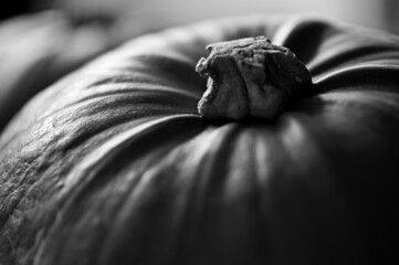 Poster - Grayscale shot of a pumpkin closeup