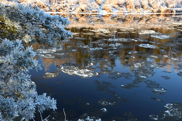 Wall Mural - Beautiful shot of the frozen river in the middle of the forest.