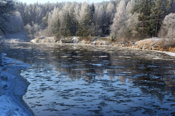 Wall Mural - Beautiful shot of the frozen river in the middle of the forest.