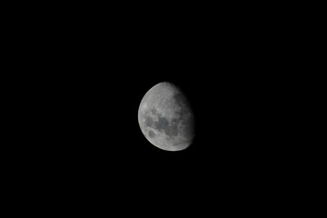 Wall Mural - Beautiful shot of the half-moon in the dark.