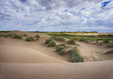 Large Area Of Dunes On The Seashore Covered With Autochthonous Vegetation. Sky With Many Clouds.