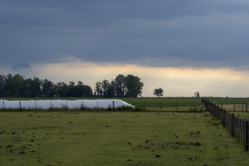 Canvas Print - View of the field with the fence in it on a cloudy day in  Santa Fe Province, Argentina