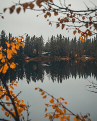 Wall Mural - Vertical shot of the beautiful autumn nature by the lake