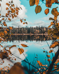 Wall Mural - Vertical shot of the beautiful autumn nature by the lake