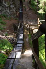 Poster - Vertical shot of a waterfall in a forest in Valais, Switzerland