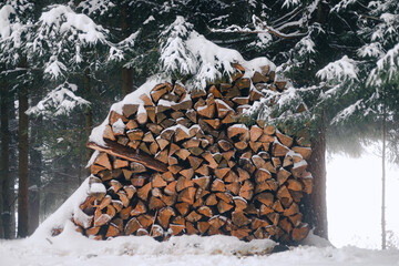 Sticker - View of firewood, stacked chopped wood prepared for winter covered with snow in a snowy forest