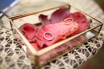 Poster - Selective focus shot of wedding rings on autumn leaves inside a glass box