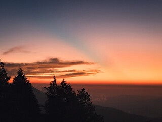 Wall Mural - Silhouette of trees on a cloudy sky at sunset in San Jose del Pacifico, State of Oaxaca, Mexico