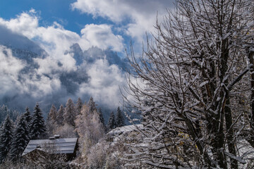 Canvas Print - Beautiful view of trees covered by snow on the mountain under the sunlight