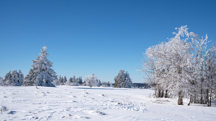 Sticker - Panoramic landscape image of Kahler Asten in Sauerland, Germany, during winter