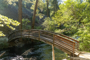 Wall Mural - Beautiful shot of a small wooden bridge over the river