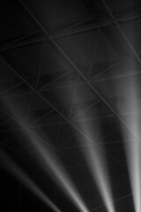 Sticker - Grayscale of a decorated ceiling with white lights