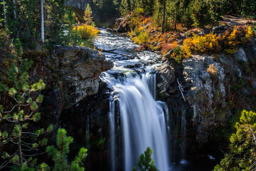 Poster - Moose Falls at Yellowstone National Park in Wyoming, USA