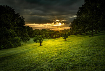 Poster - Cherokee Park at sunrise in Louisville, Kentucky, the US