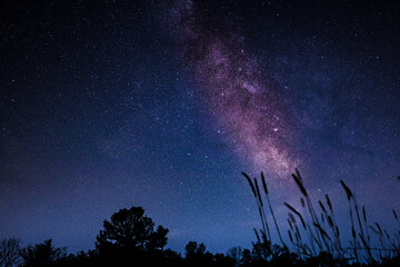 Wall Mural - Stunning view of stars