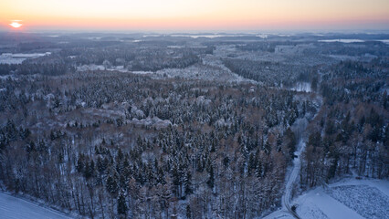 Sticker - Chilling view of a snow-covered forest in the countryside under a sunset