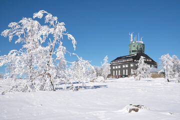 Wall Mural - Beautiful shot of a building surrounded by trees fully covered in snow.