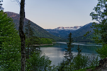 Poster - Aerial shot of a lake in the forest on a sunny day in summer