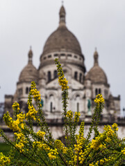 Sticker - Selective focus shot of yellow flowers with the famous Basilica of the Sacred Heart of Paris