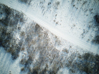 Poster - the forest area in Ontario canada after a fresh snow fall