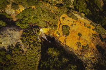 Sticker - Aerial shot of a forest on a sunny day in summer