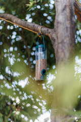 Canvas Print - Vertical shot of a modern bird feeder tied to a tree with ropes, surrounded by green leaves in park