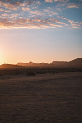 Wall Mural - Closeup of a field with beautiful sunset in the background