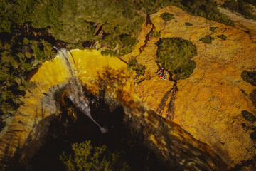 Canvas Print - Aerial shot of a forest on a sunny day in summer