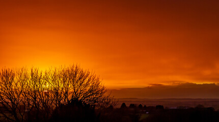 Wall Mural - mesmerizing orange scene sunset time on leafless trees and mountaons on the horizon
