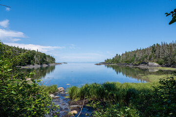 Poster - Beautiful landscape with lake, trees and plants against a blue sky on a sunny day